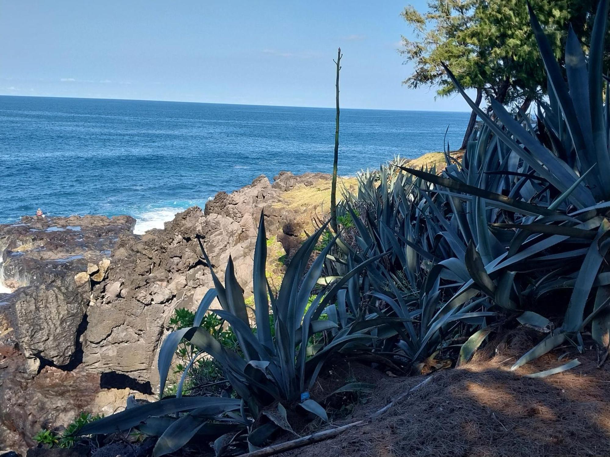 Les Badamiers Villa Saint Pierre Buitenkant foto