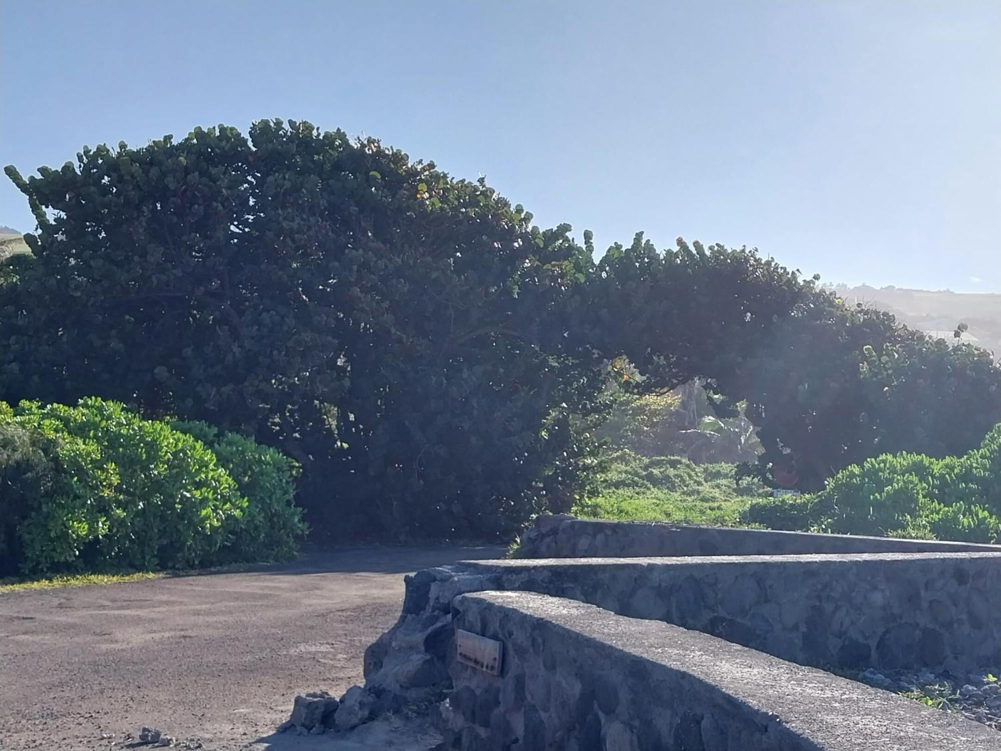 Les Badamiers Villa Saint Pierre Buitenkant foto