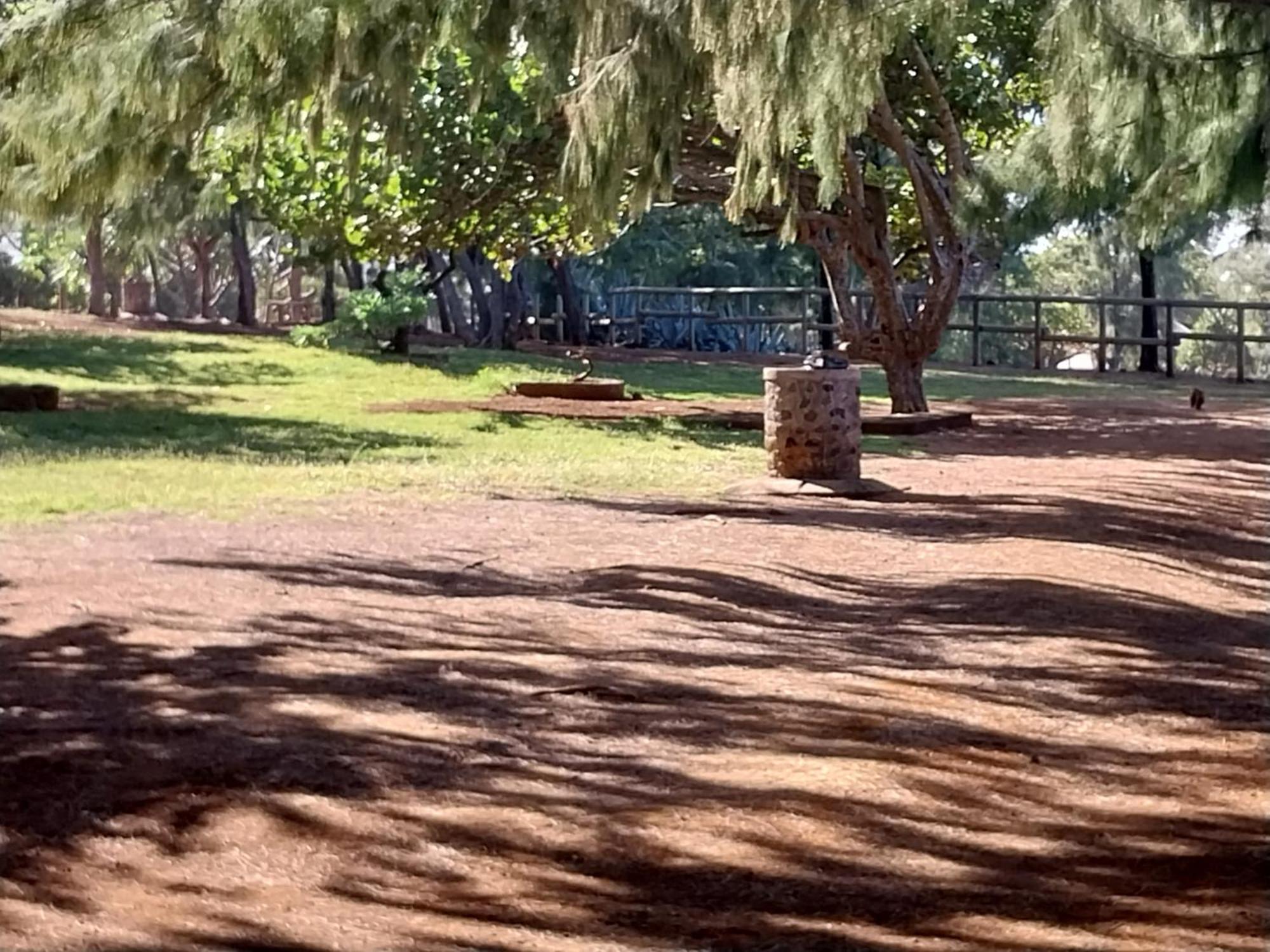 Les Badamiers Villa Saint Pierre Buitenkant foto